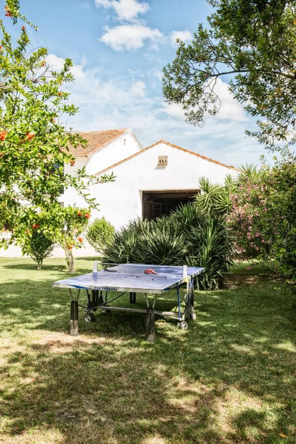 Bed and Breakfast Mas De Bouvet En Camargue Albaron Zewnętrze zdjęcie