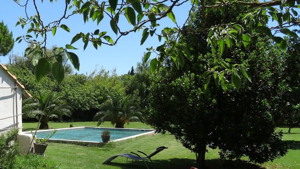 Bed and Breakfast Mas De Bouvet En Camargue Albaron Zewnętrze zdjęcie
