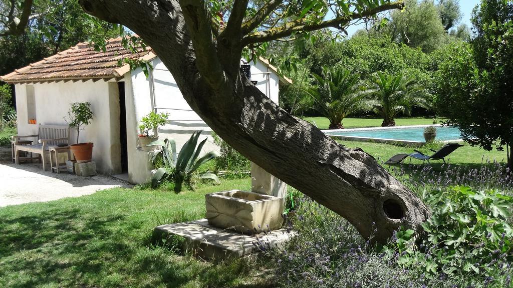 Bed and Breakfast Mas De Bouvet En Camargue Albaron Zewnętrze zdjęcie