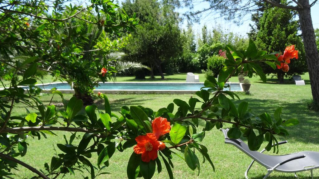 Bed and Breakfast Mas De Bouvet En Camargue Albaron Zewnętrze zdjęcie