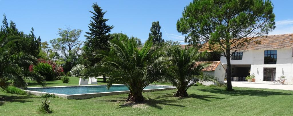 Bed and Breakfast Mas De Bouvet En Camargue Albaron Zewnętrze zdjęcie