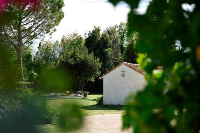 Bed and Breakfast Mas De Bouvet En Camargue Albaron Zewnętrze zdjęcie